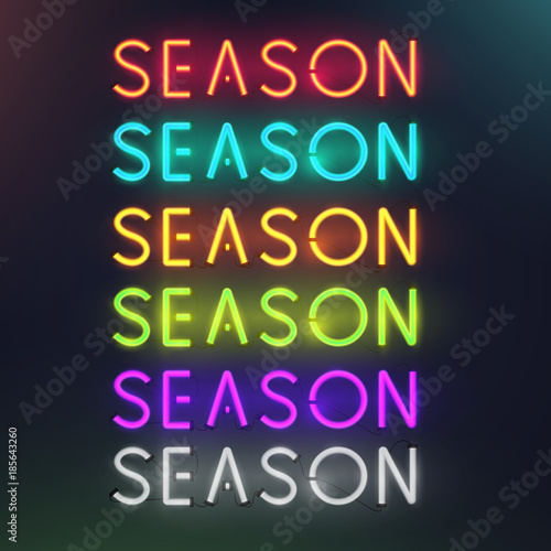 Set of colorful glowing inscription season. 3d realistic neon sign isolated on black background. Retro electric lamp in form of word. Vector illustration.