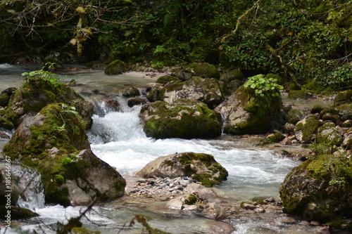 river in the alps