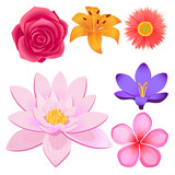 Gorgeous Flower Buds Isolated illustrations set
