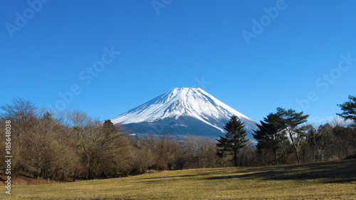 Snowy Mount Fuji