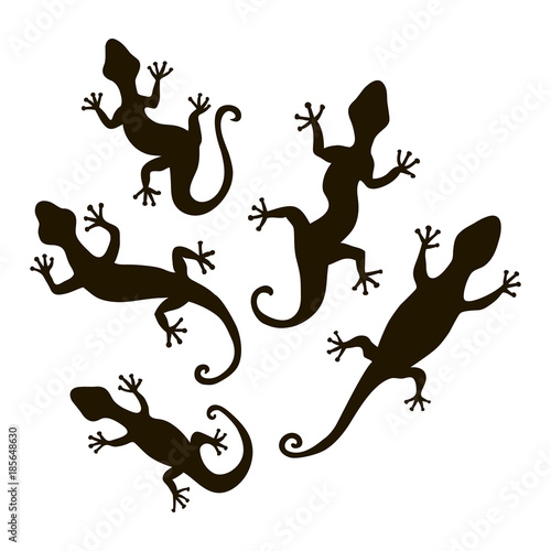 Lizards silhouette vectort. Stock vector template, easy to use. © Marina