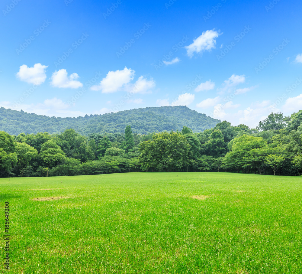 green grass and beautiful mountain nature landscape in summer
