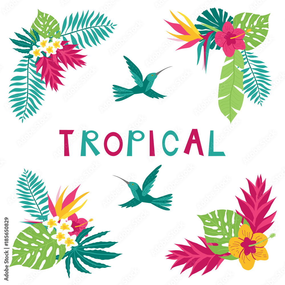 Summer tropical corner elements Summer tropical corner elements