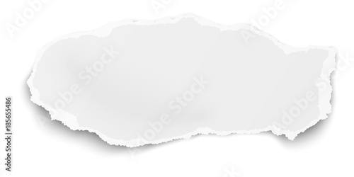 Vector tattered elongated paper tear with soft shadow isolated on white background