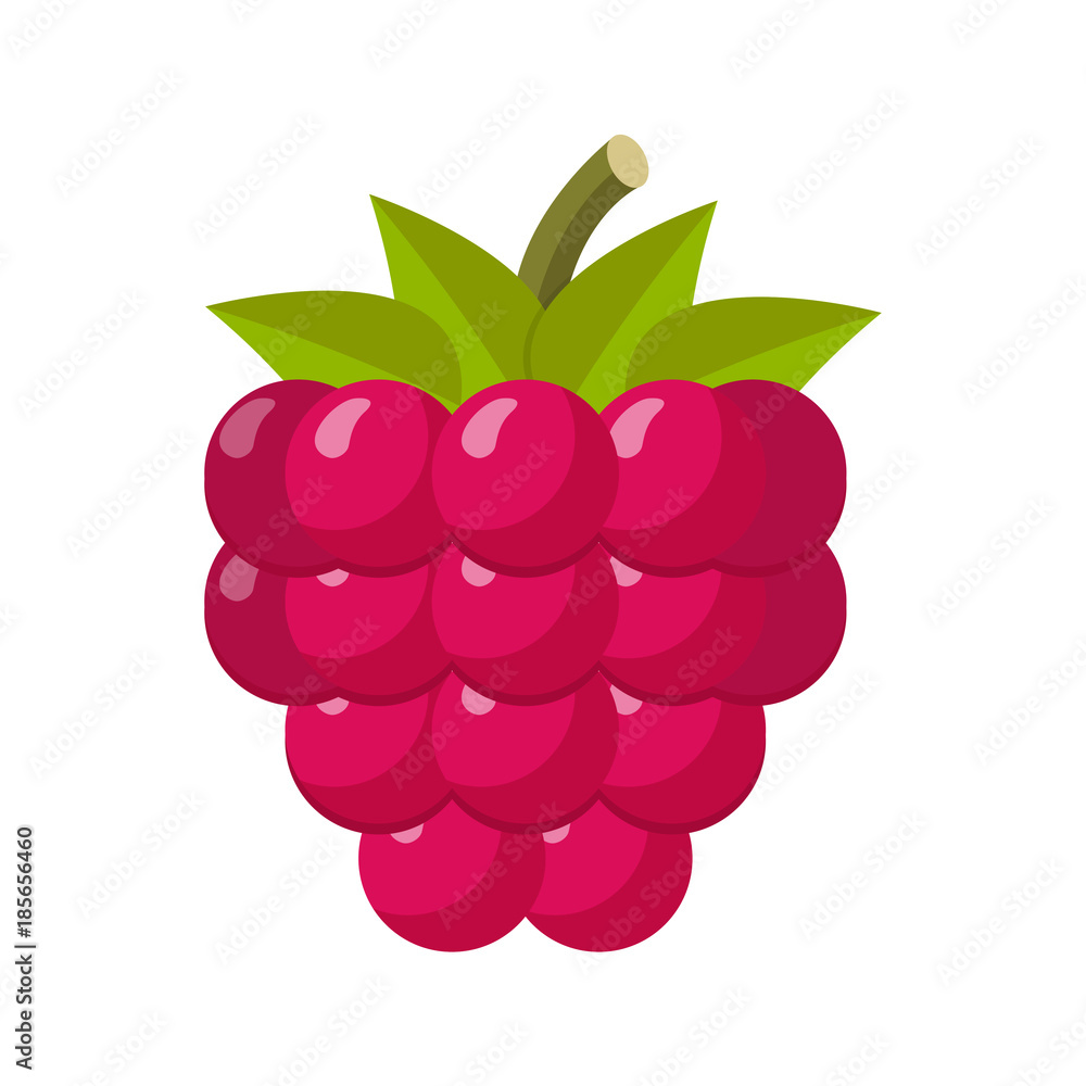 Himbeere Flat Design Icon Himbeere Flat Design Icon