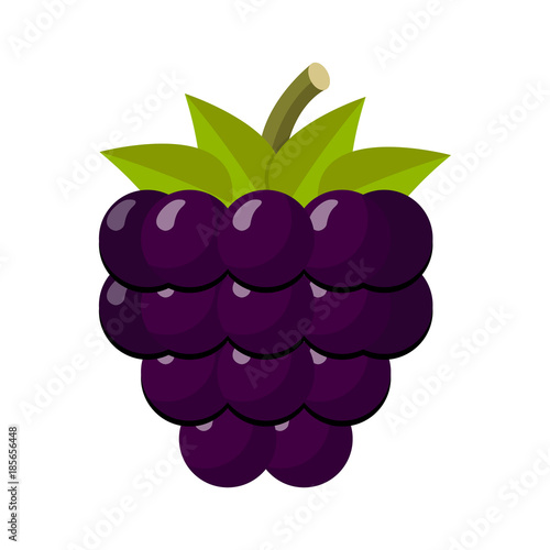 Brombeere Flat Design Icon