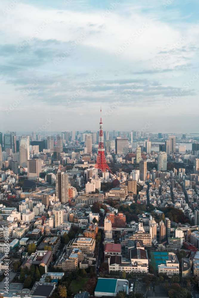 Tokyo tower with Tokyo city view.