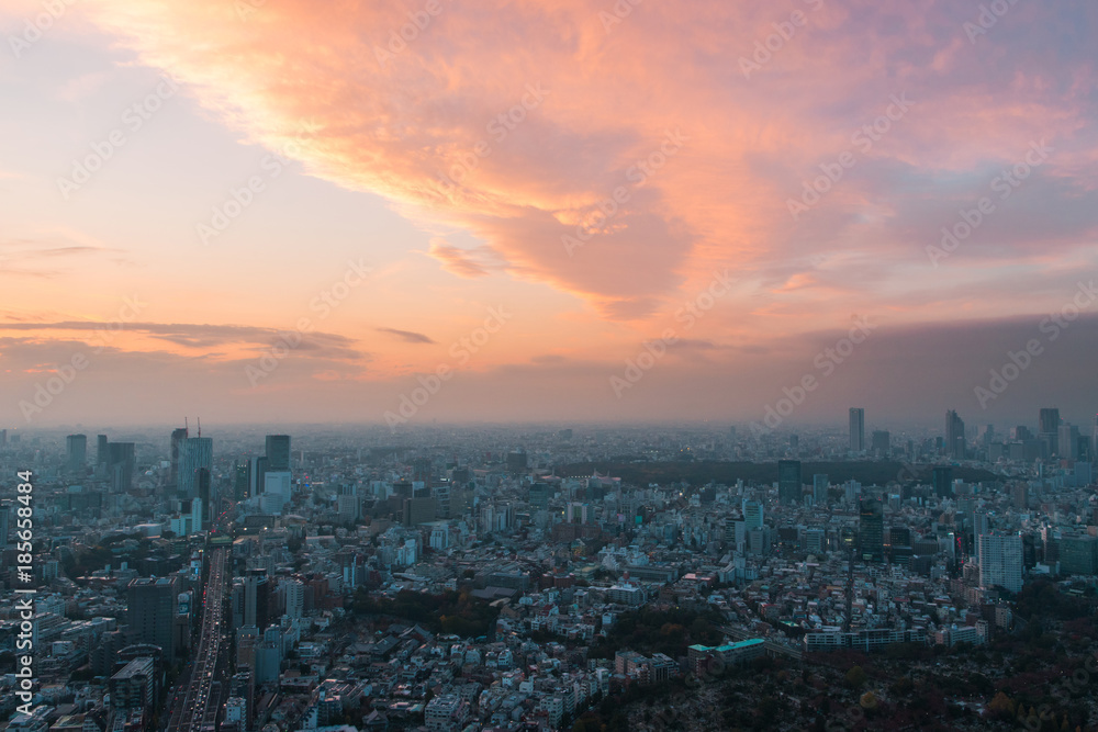 Tokyo city view under cloudy colorful sunset.