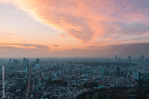 Tokyo city view under cloudy colorful sunset.