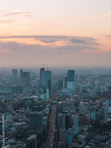 Fototapeta Naklejka Na Ścianę i Meble -  Streets of Tokyo city seen from above.