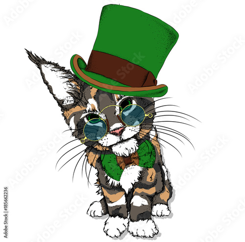 Portrait of a cat in a hat. Can be used for printing on T-shirts, flyers, etc. Vector illustration