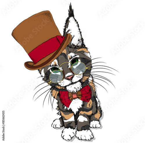 Portrait of a cat in a hat. Can be used for printing on T-shirts, flyers, etc. Vector illustration