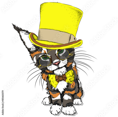 Portrait of a cat in a hat. Can be used for printing on T-shirts, flyers, etc. Vector illustration