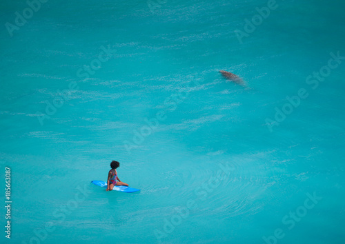 Surfer girl with afro hairstyle sitting on surfboard in crystal clear green water looking at sea cow at Uluwatu beach, Bali, Indonesia. marine life, minimalism, copy space