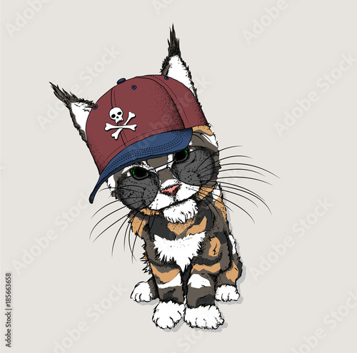 Portrait of a cat in a hat. Can be used for printing on T-shirts, flyers, etc. Vector illustration