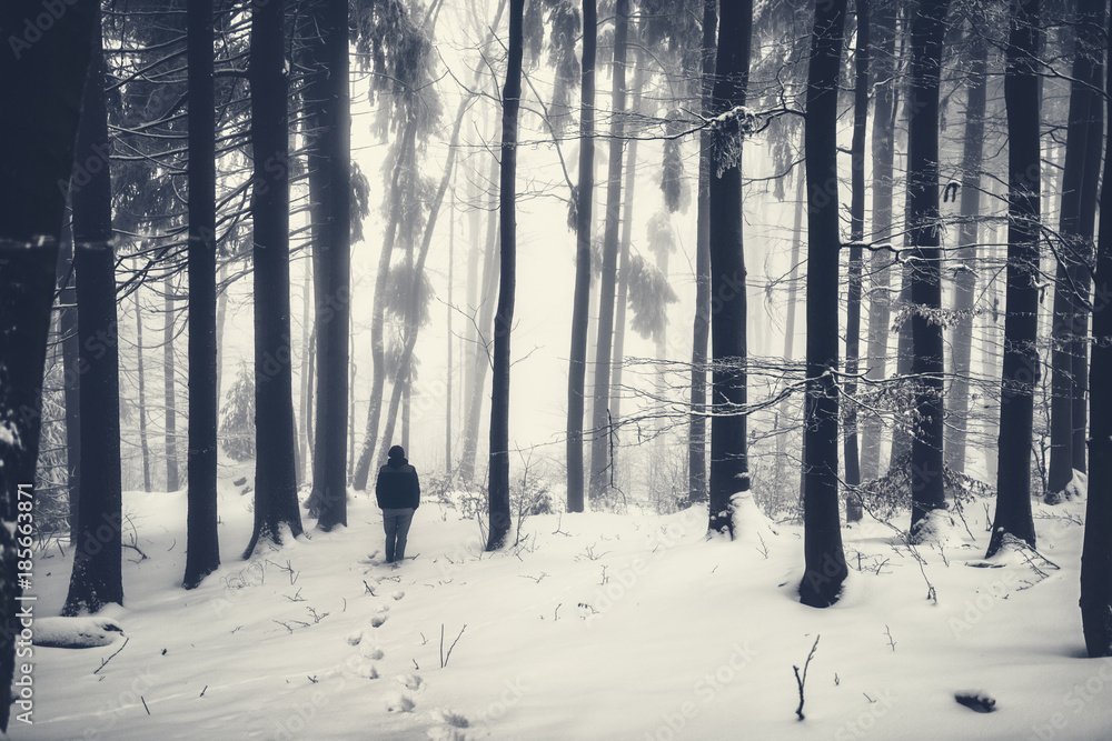 Naklejka premium Foggy Night