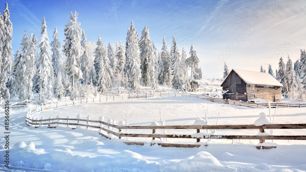 Naklejka premium Winter in Transylvania