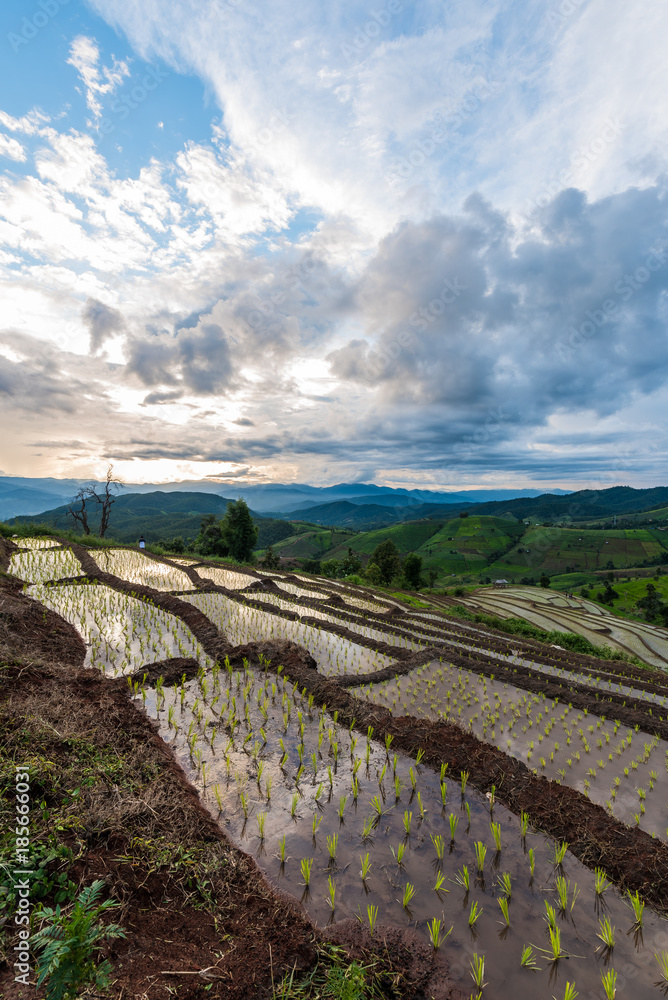 Pong Pieng stepped rice field at Mae Chaem, Chiang Mai, Thailand.