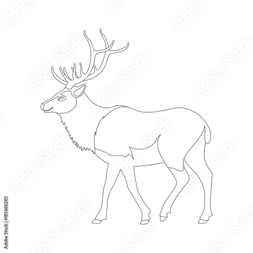 big deer vector illustration   line drawing  profile