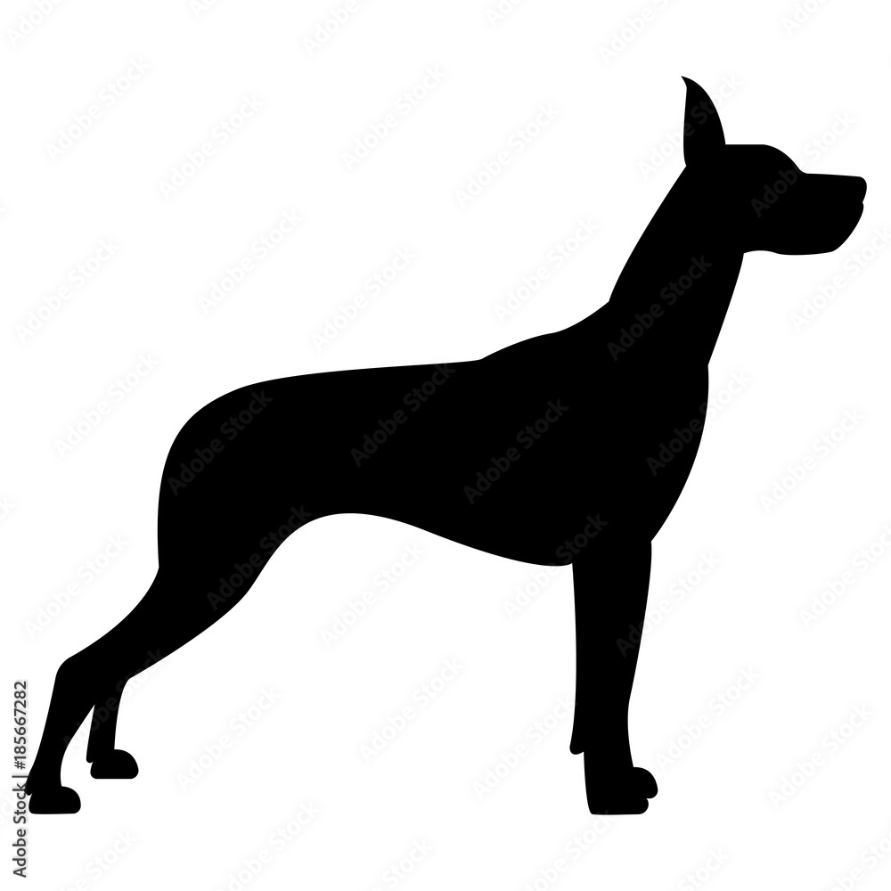 Fototapeta premium Vector image of a dog silhouette of a breed royal dog on a white background