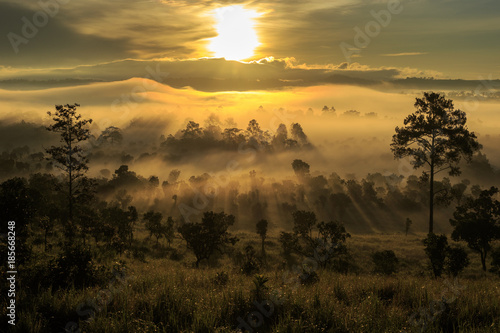 sunrise in the Tung-sa-laeng-luang nationalpark