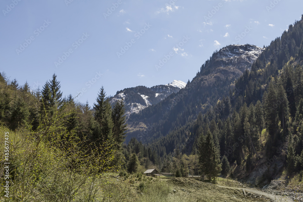 Fototapeta premium Landschaft in Österreich