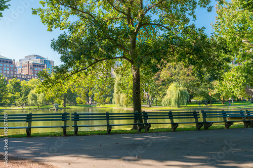 Boston Common Frog Pond is a central public Garden park in downtown Boston, Massachusetts. and city skyline. 