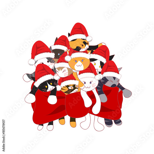 Cats with Santa Hat Bouquet...