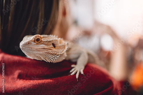 Canvastavla Lizard on girls shoulder