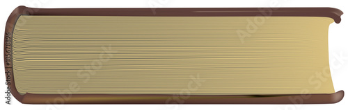 Thick old book