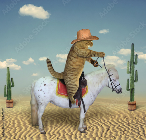 The cat cowboy riding a horse is in the desert among cacti.