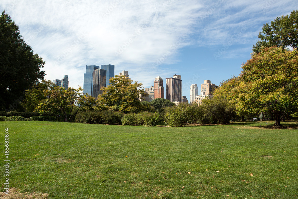 Central Park in New York