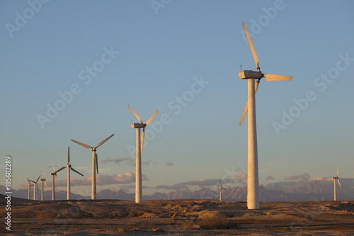 wind power