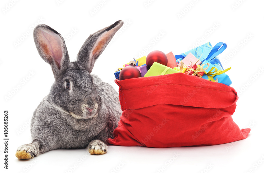 Fototapeta premium Rabbit and Christmas bag with gifts.