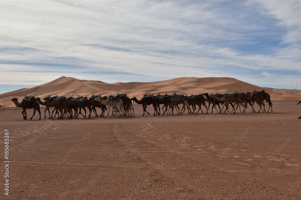 Desierto