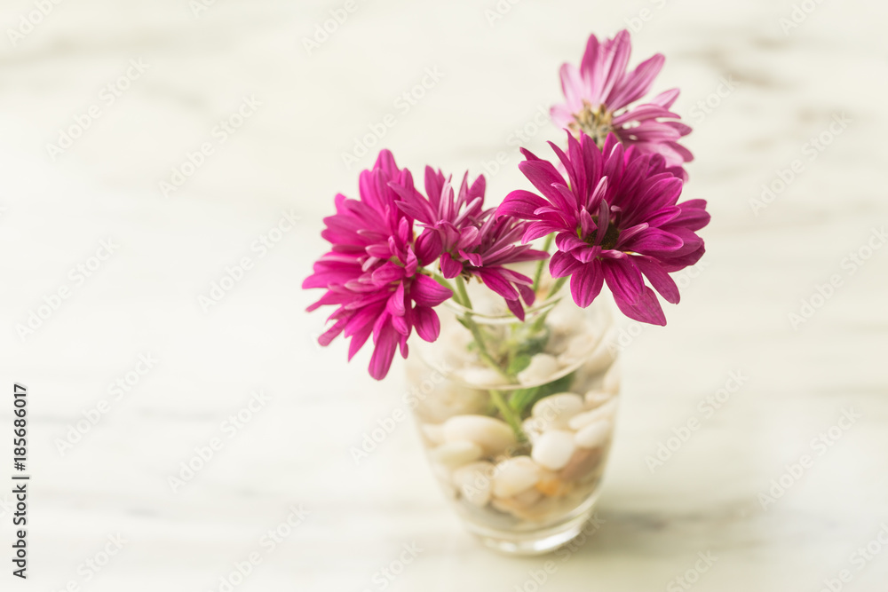 purple flower in glass vase purple flower in glass vase