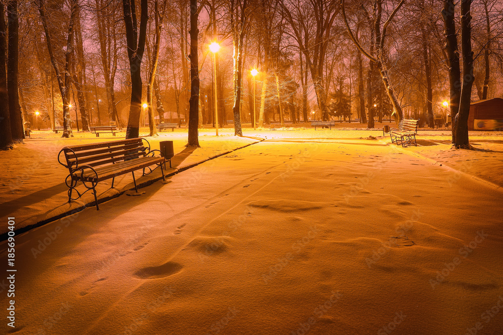 Naklejka premium Winter evening in a central park