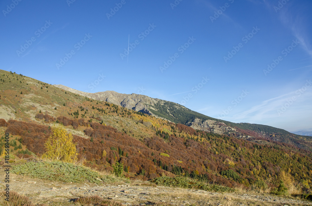Fototapeta premium Autumn - Pelister, National Park near Bitola, Macedonia