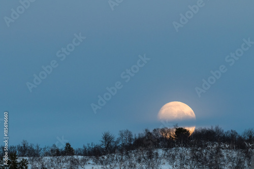 Big moon rising behind a mountain with some birch trees in winter landscape with snow, in Setesdal, Norway photo