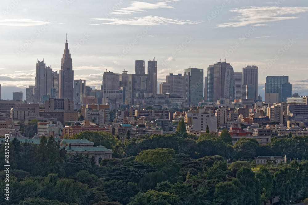 Obraz premium Shinjuku Tokyo Fukutoshin