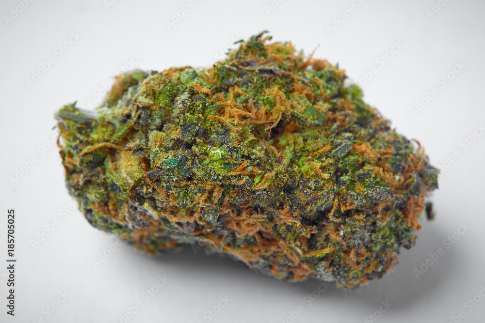 Close up of prescription medical marijuana strain on white background Close up of prescription medical marijuana strain on white background