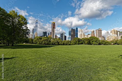 夏のセントラルパーク
