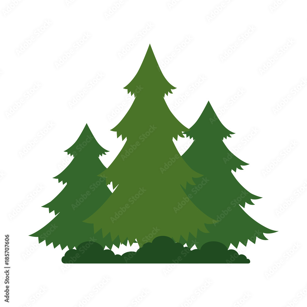 Obraz premium pines trees plants with grass vector illustration design