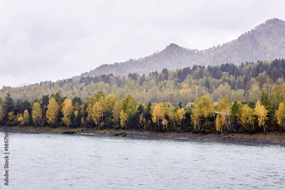 Mountain landscape. Beautiful autumn landscape. River flow