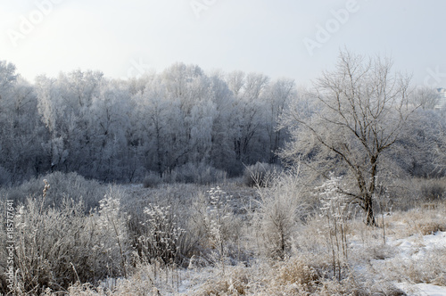 Frosty winter morning in a Siberian city. Severe winter of Siberia