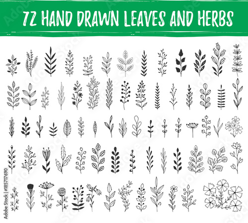 Set of hand drawn leaves, herbs, branches. Nature design elements. Vector. Isolated.