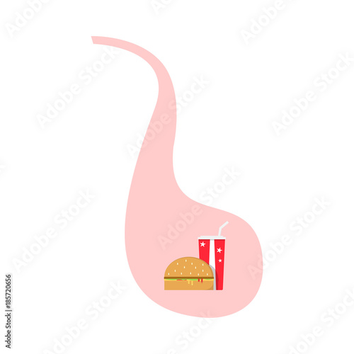 Fast food in stomach