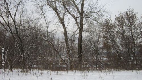 Wallpaper Mural ПЕРМЬ,ПОКЛОННЫЙ КРЕСТ НА МЕСТЕ БЫВШЕГО КЛАДБИЩА В РАБОЧЕМ ПОСЕЛКЕ Torontodigital.ca