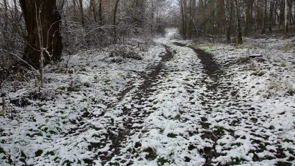 Road in the snowy forest. Trees covered with snow. Cold day. Road in the snowy forest. Trees covered with snow. Cold day.