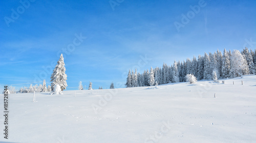 Winter in the Apuseni Mountains - Transylvania
 photo